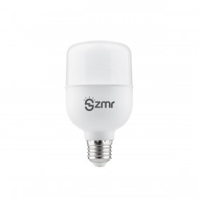 Zmr 10W Torch Led Ampul